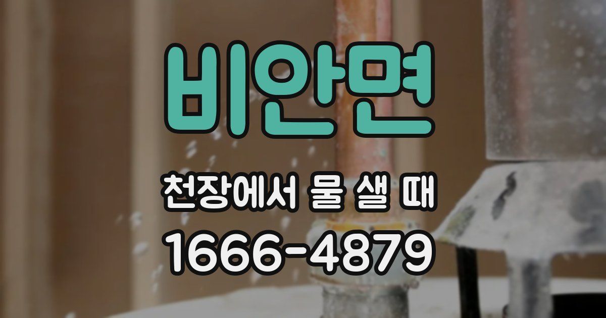 비안면 천장에서 물 샐 때