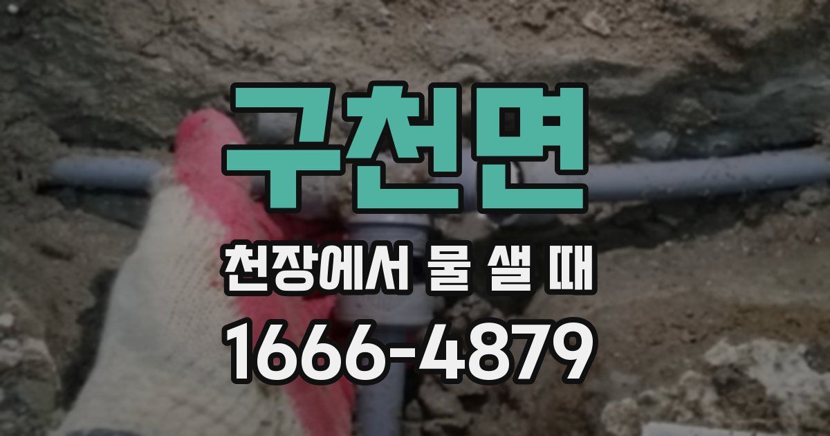 구천면 천장에서 물 샐 때