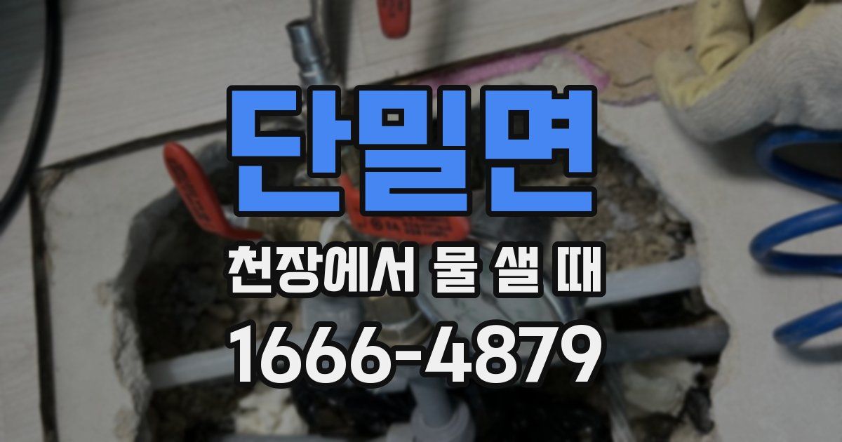 단밀면 천장에서 물 샐 때