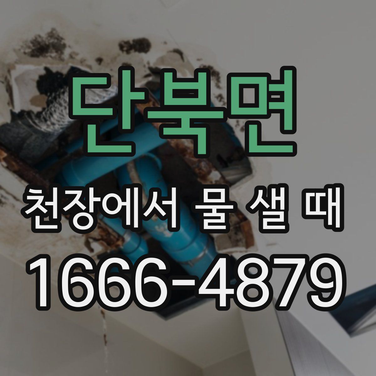 단북면 천장에서 물 샐 때