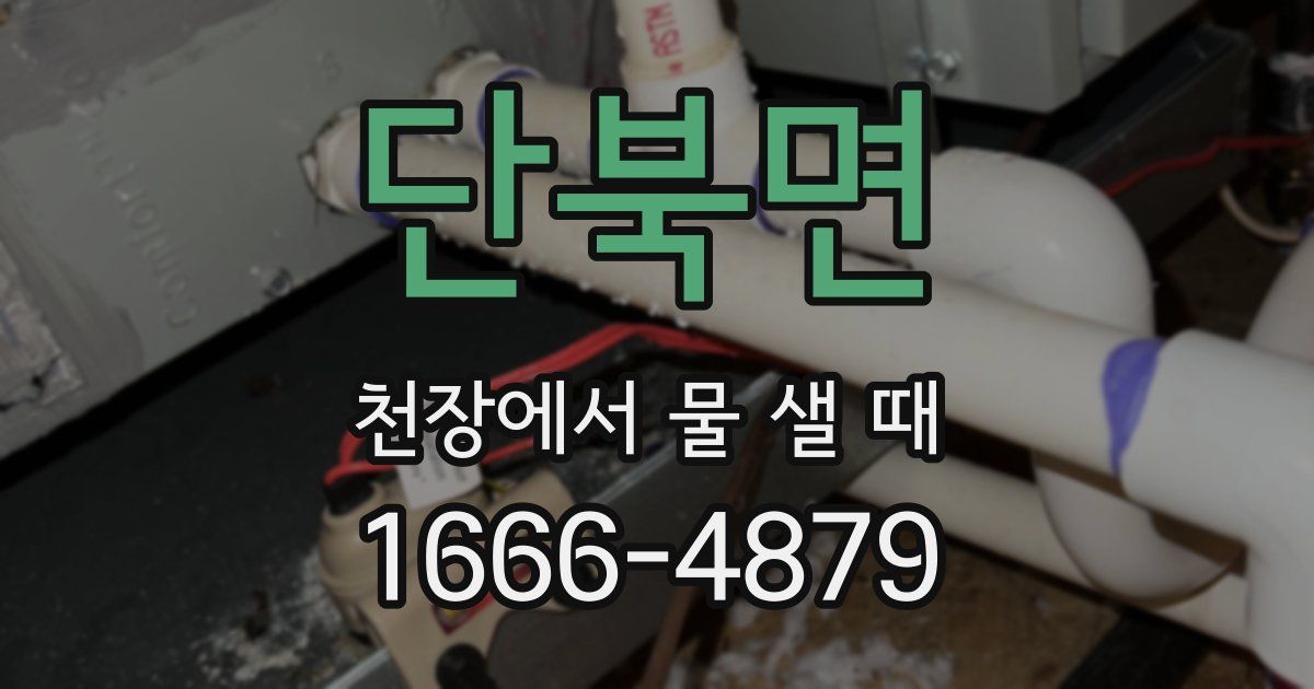 단북면 천장에서 물 샐 때