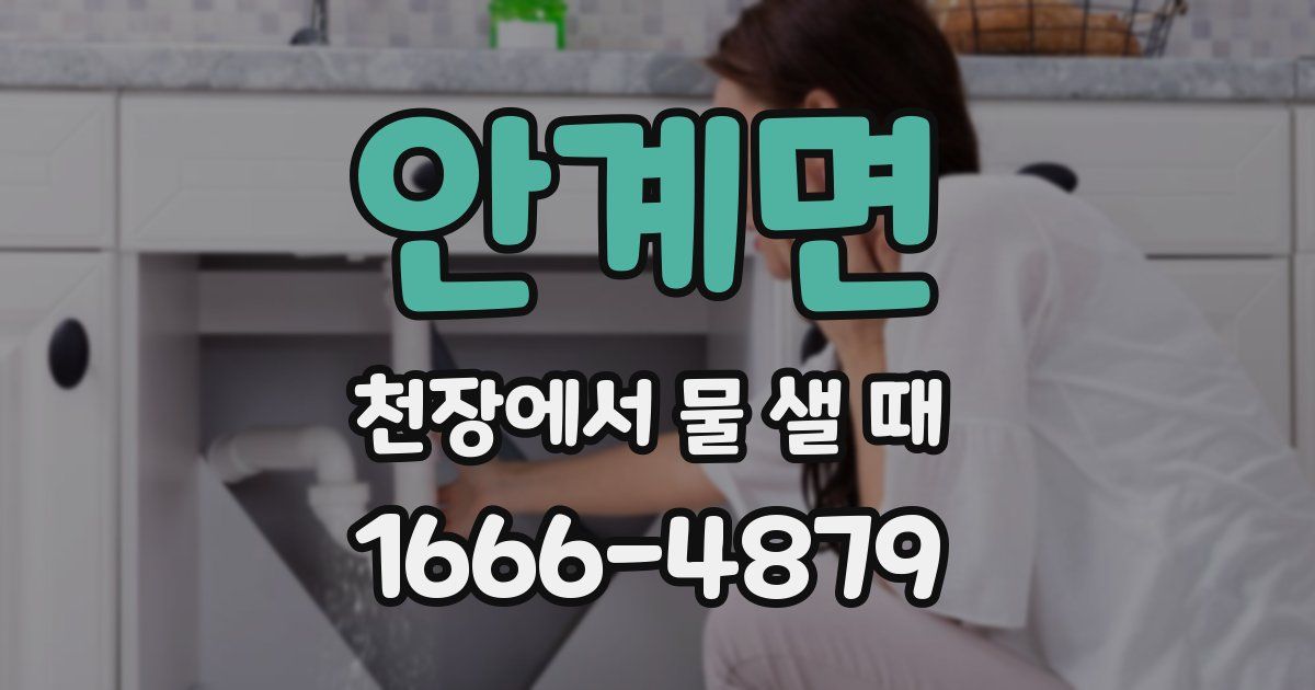 안계면 천장에서 물 샐 때