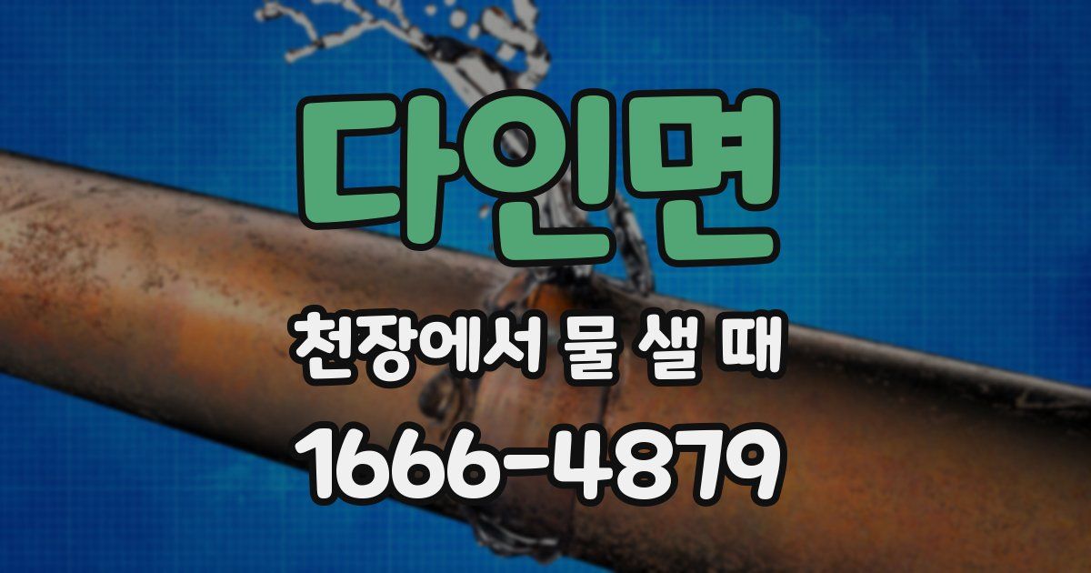다인면 천장에서 물 샐 때