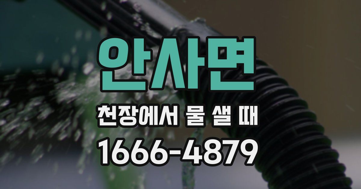 안사면 천장에서 물 샐 때