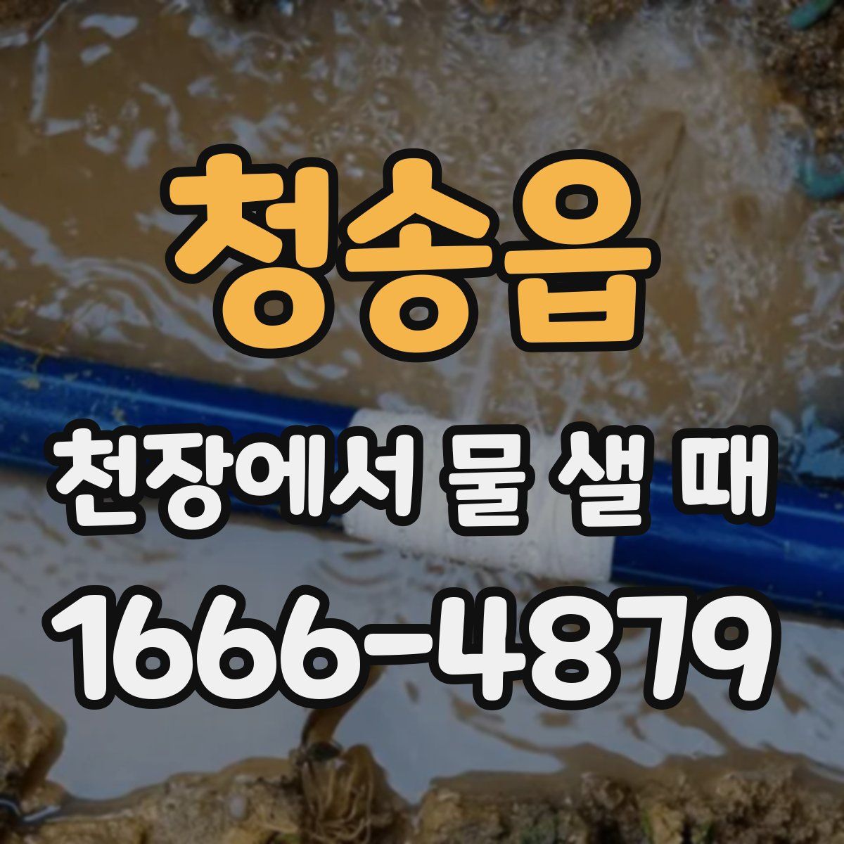 청송읍 천장에서 물 샐 때