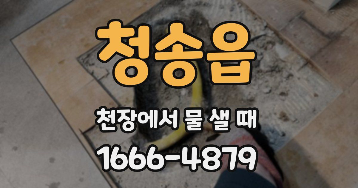 청송읍 천장에서 물 샐 때