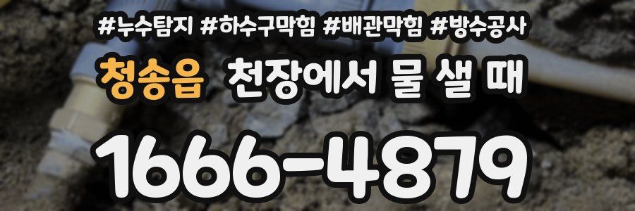 청송읍 천장에서 물 샐 때