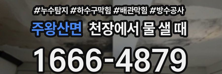 주왕산면 천장에서 물 샐 때