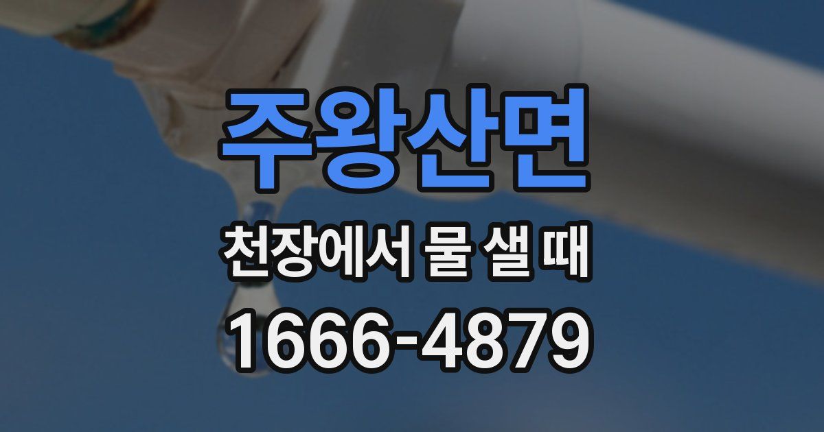 주왕산면 천장에서 물 샐 때