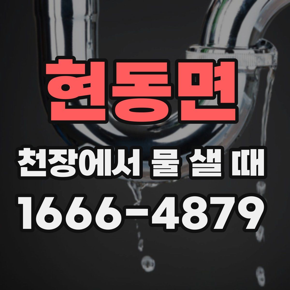 현동면 천장에서 물 샐 때