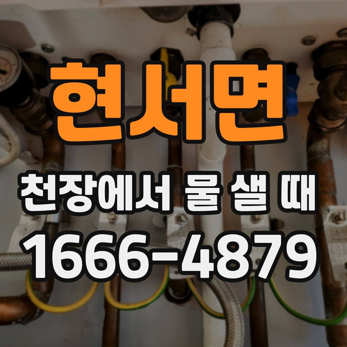 현서면 천장에서 물 샐 때