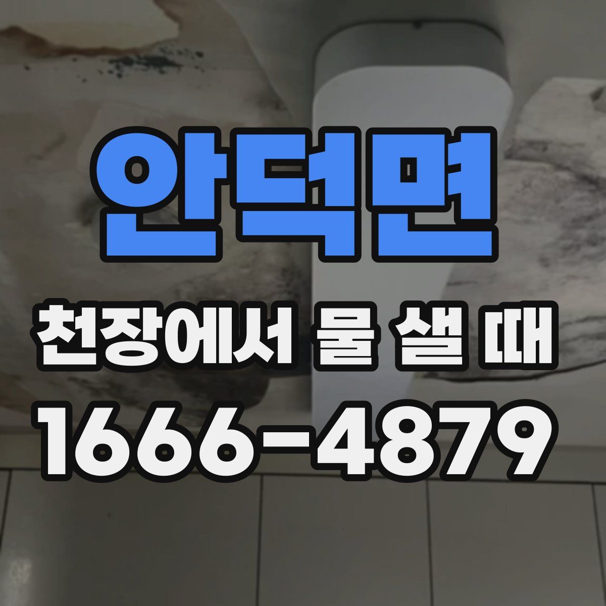 안덕면 천장에서 물 샐 때