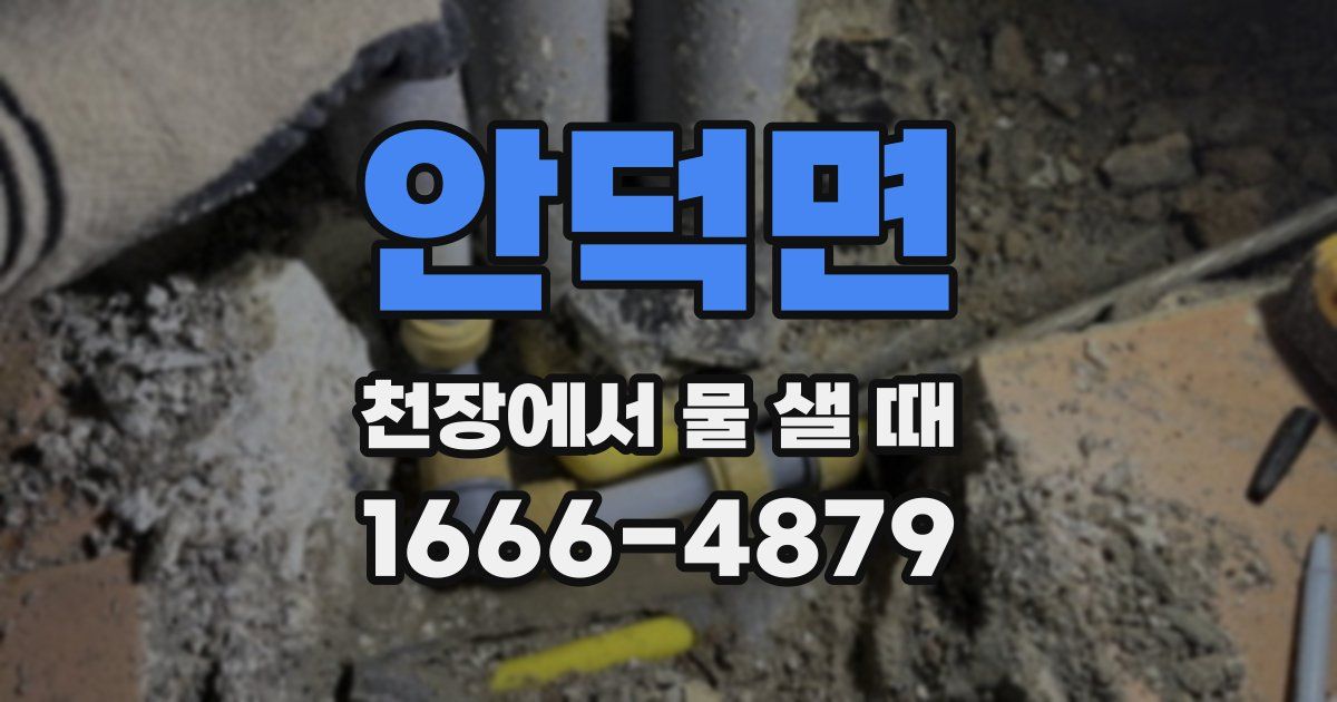 안덕면 천장에서 물 샐 때
