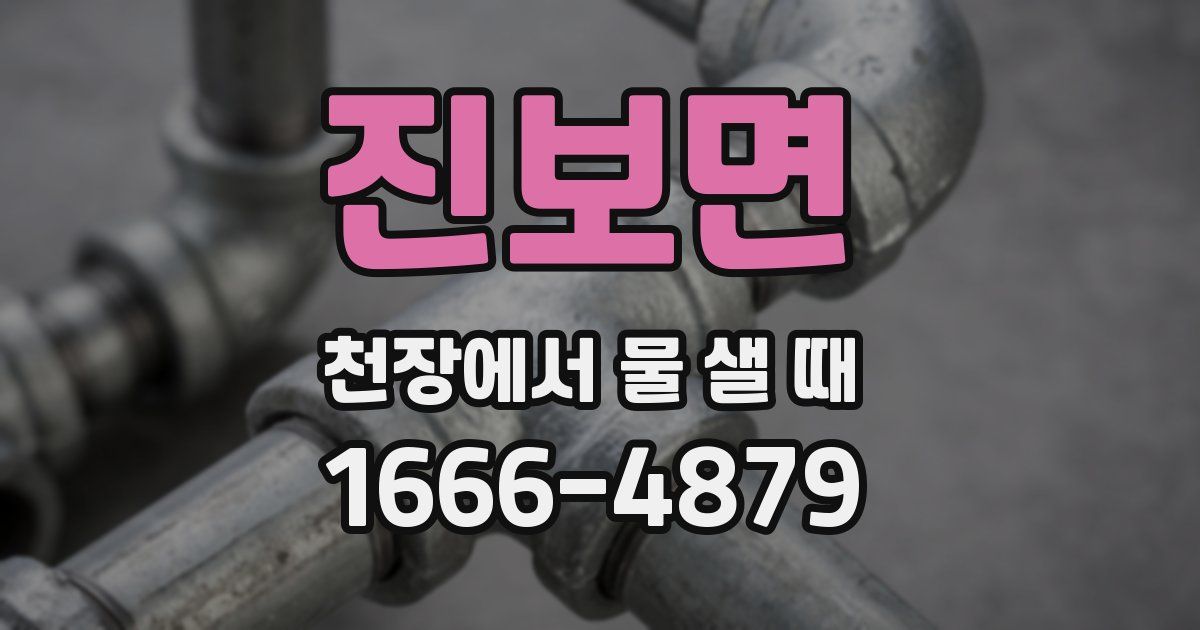 진보면 천장에서 물 샐 때