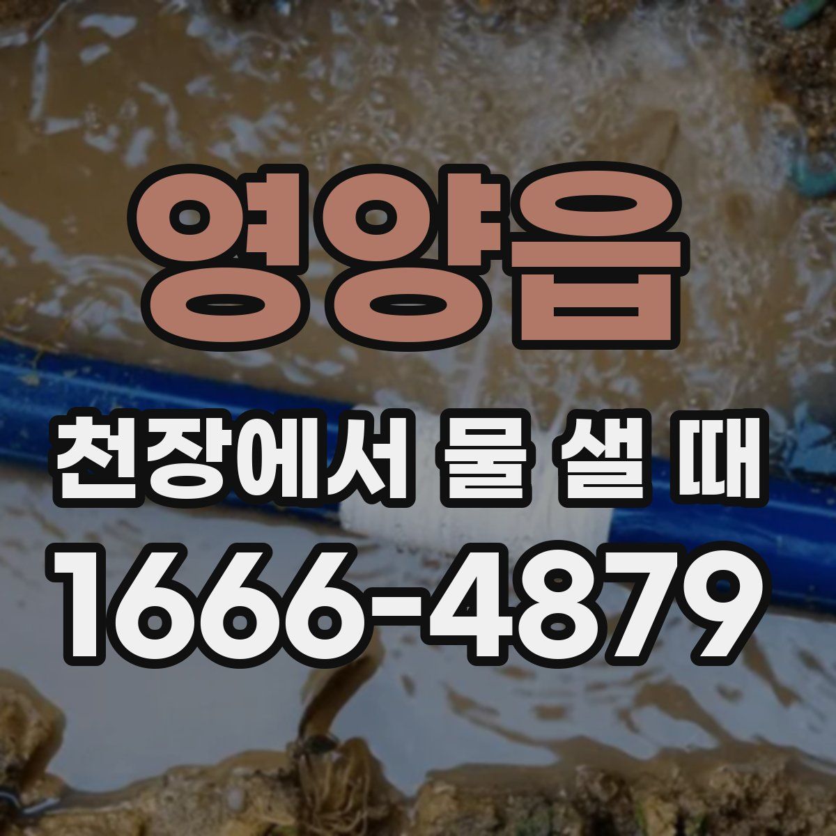영양읍 천장에서 물 샐 때