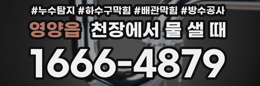 영양읍 천장에서 물 샐 때