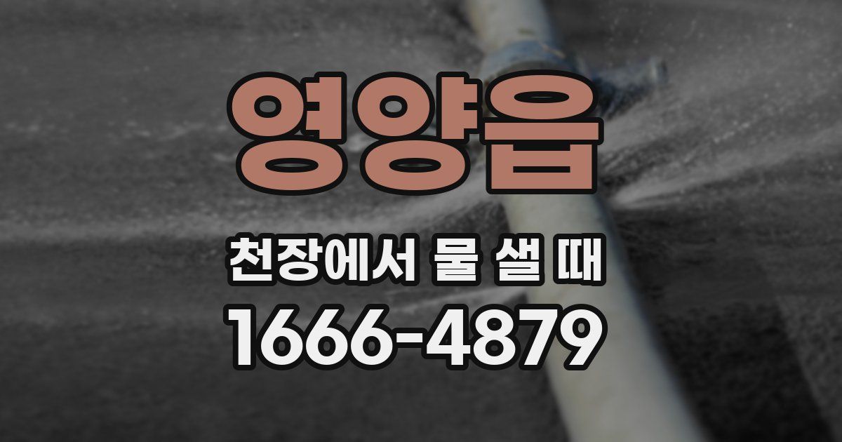 영양읍 천장에서 물 샐 때