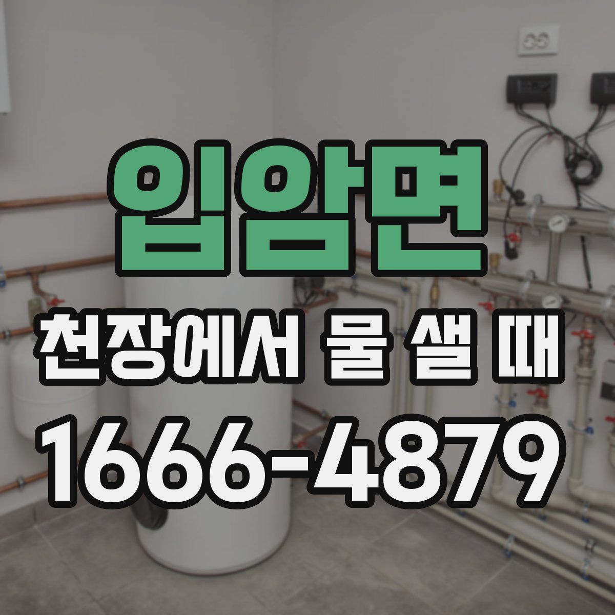 입암면 천장에서 물 샐 때