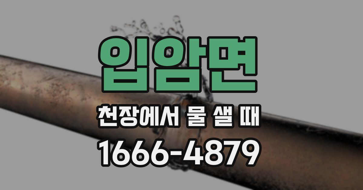 입암면 천장에서 물 샐 때