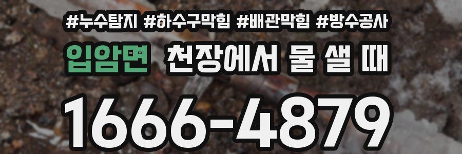 입암면 천장에서 물 샐 때