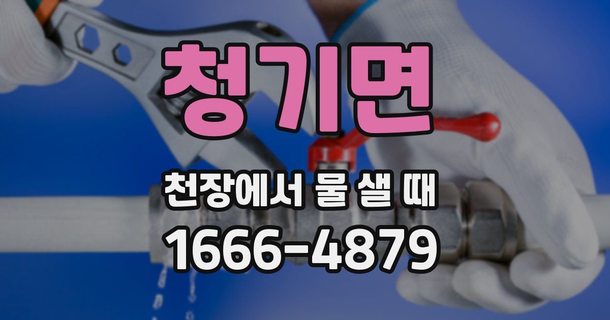 청기면 천장에서 물 샐 때