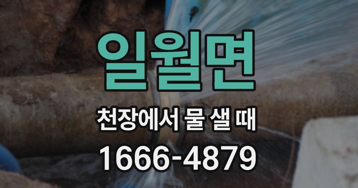 일월면 천장에서 물 샐 때