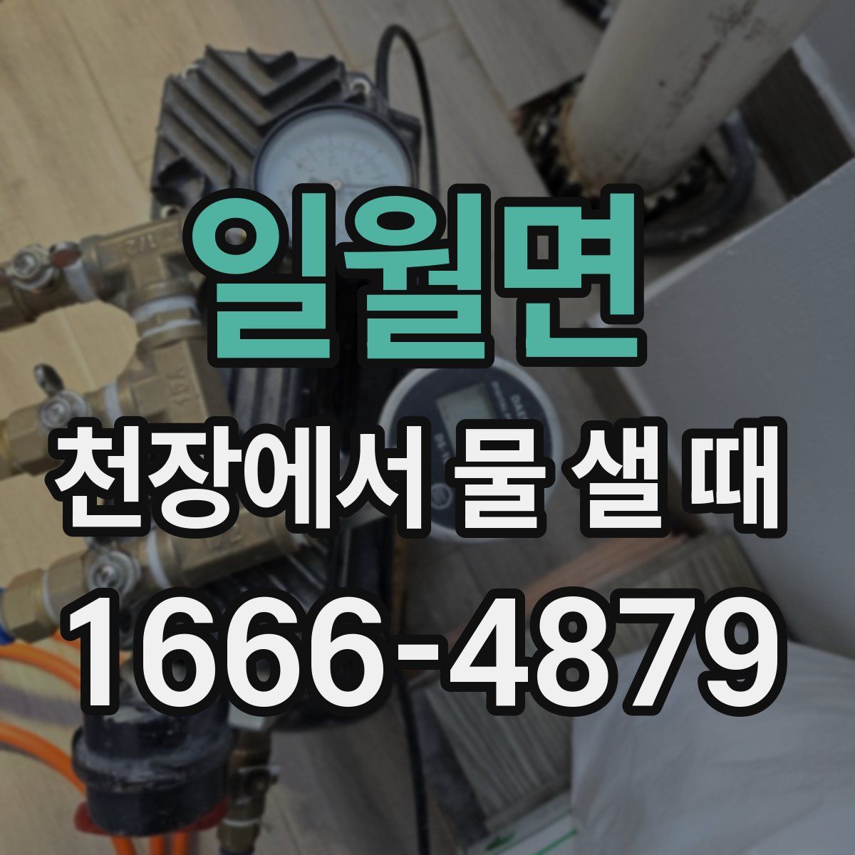 일월면 천장에서 물 샐 때