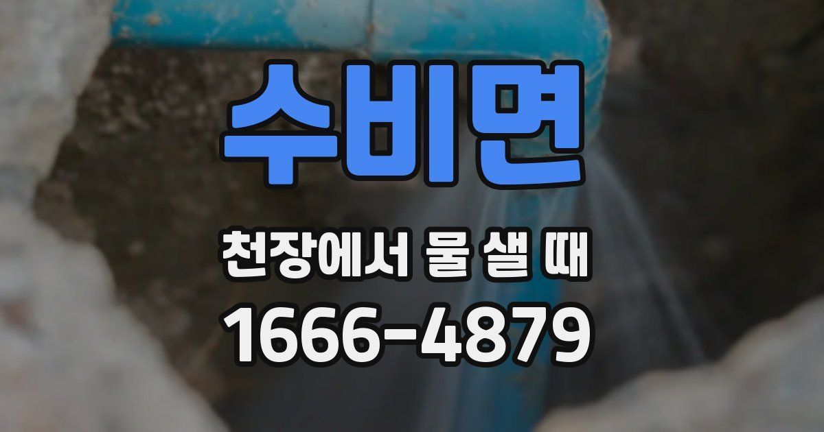 수비면 천장에서 물 샐 때