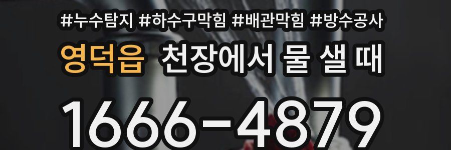 영덕읍 천장에서 물 샐 때