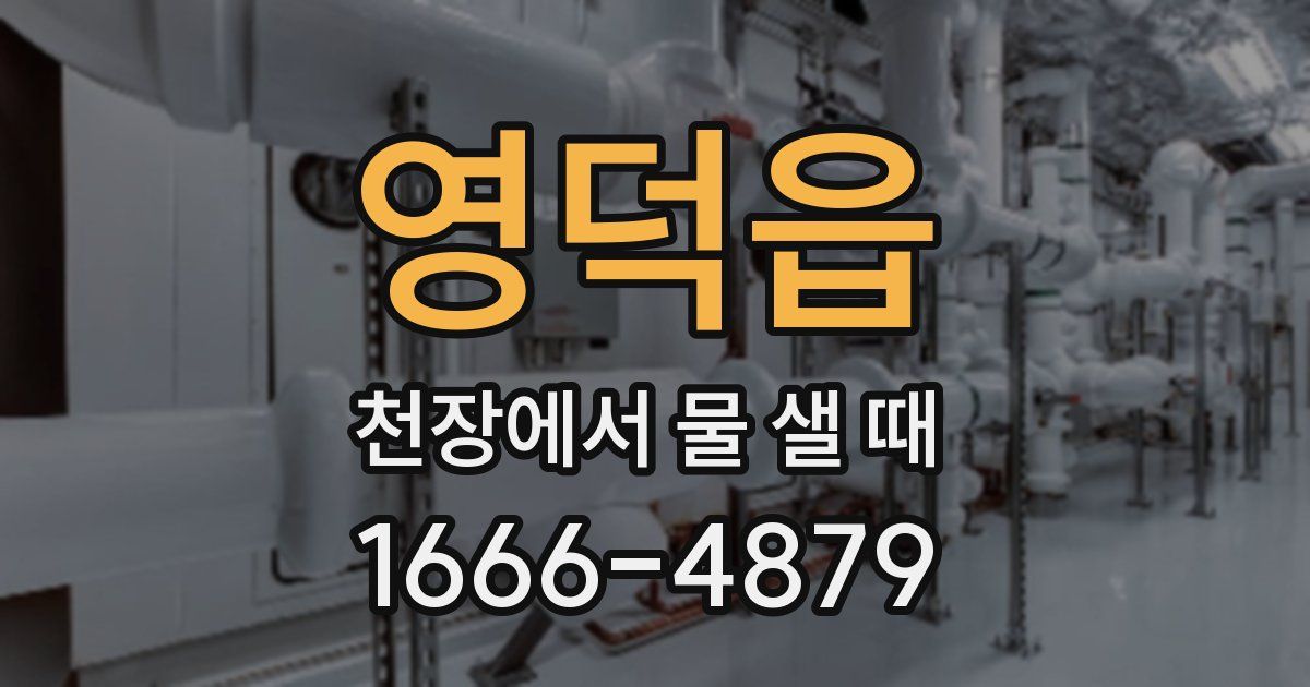 영덕읍 천장에서 물 샐 때