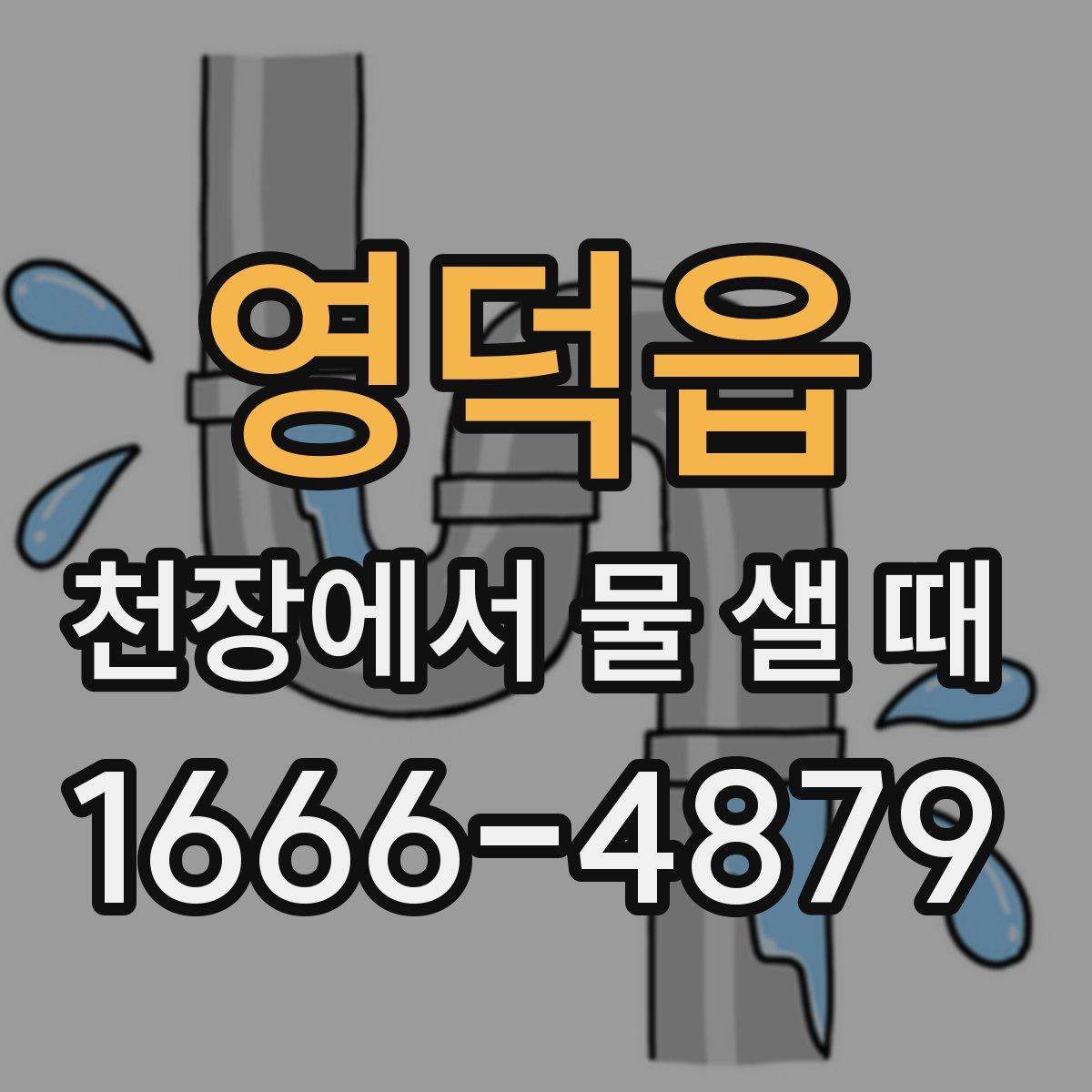 영덕읍 천장에서 물 샐 때