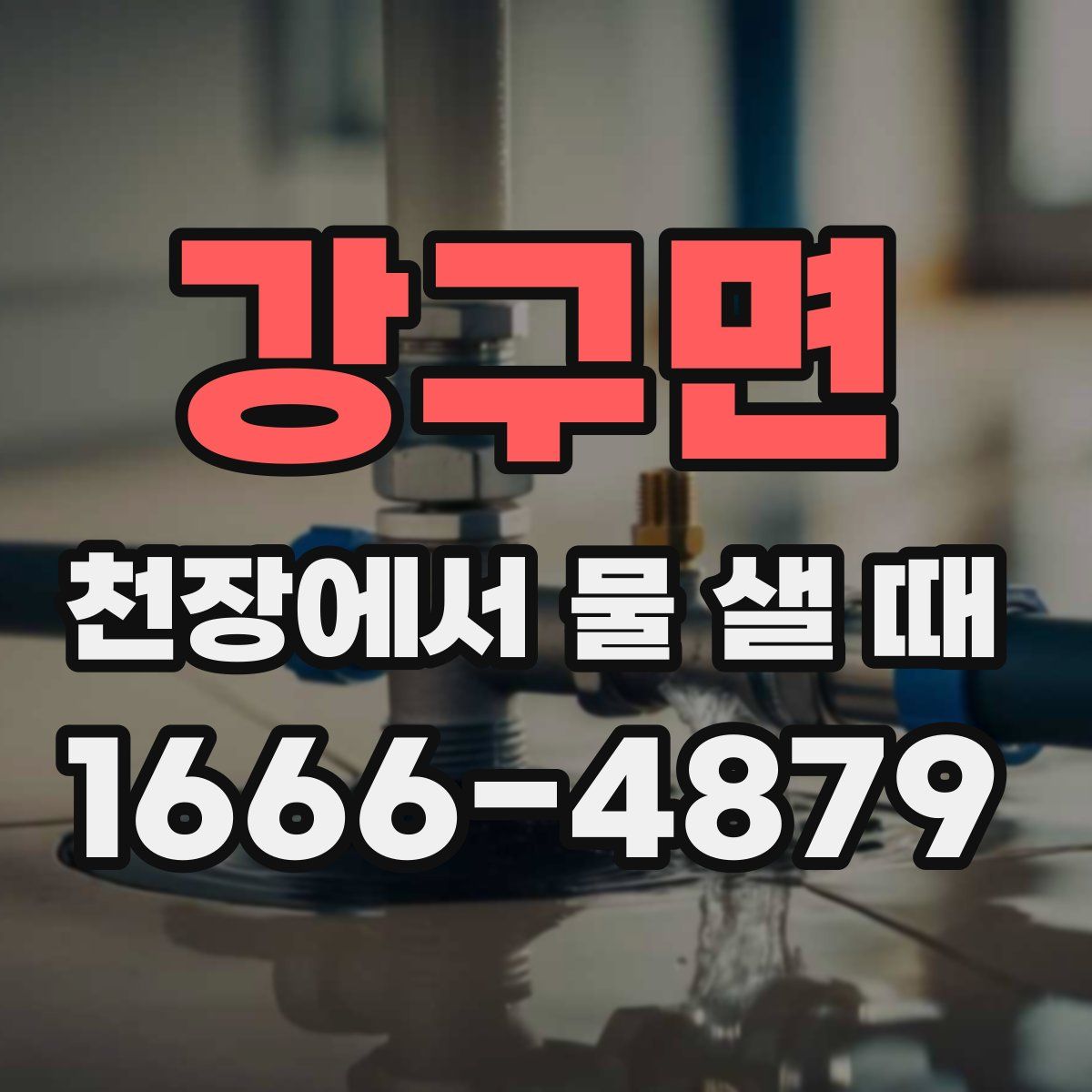 강구면 천장에서 물 샐 때