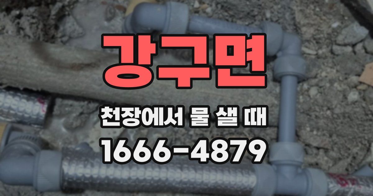 강구면 천장에서 물 샐 때