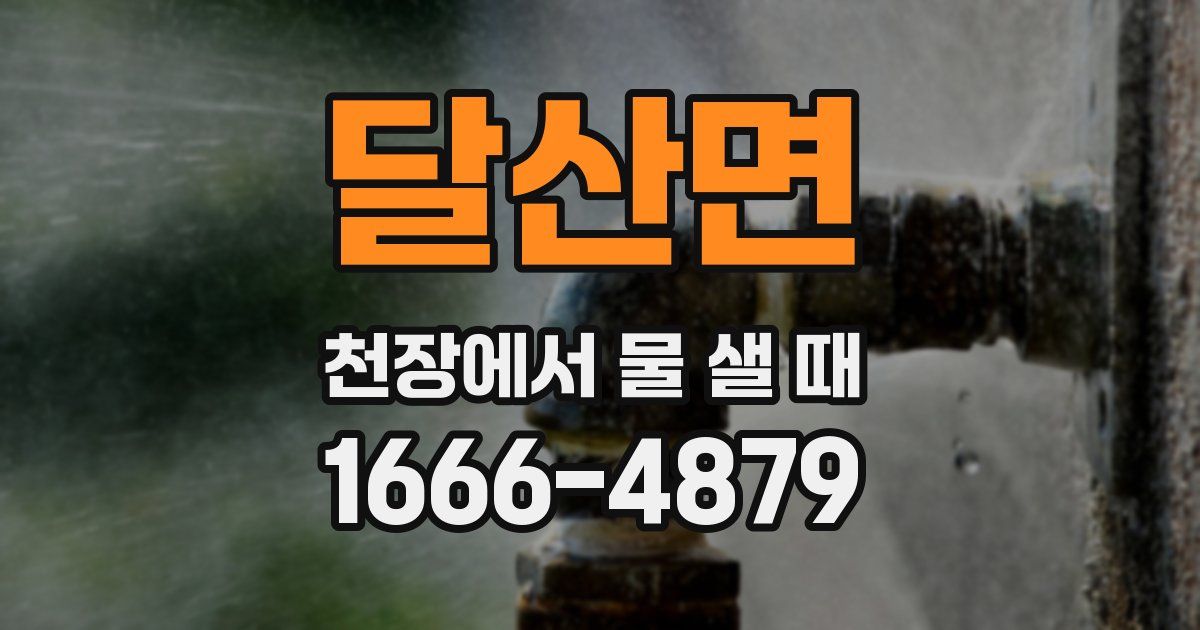 달산면 천장에서 물 샐 때