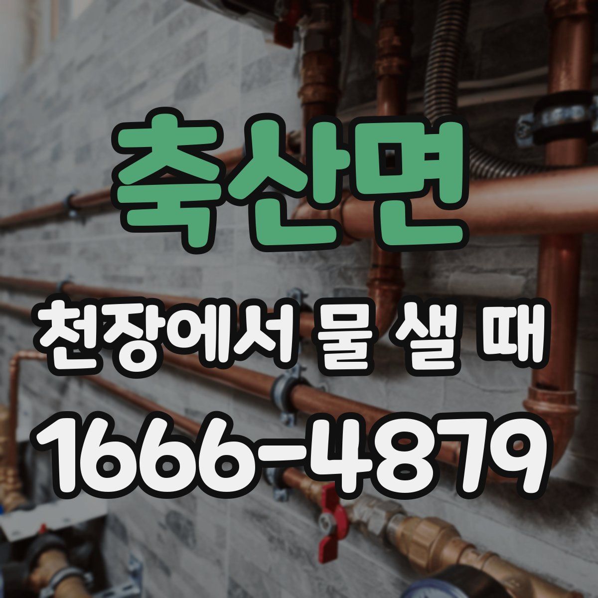 축산면 천장에서 물 샐 때