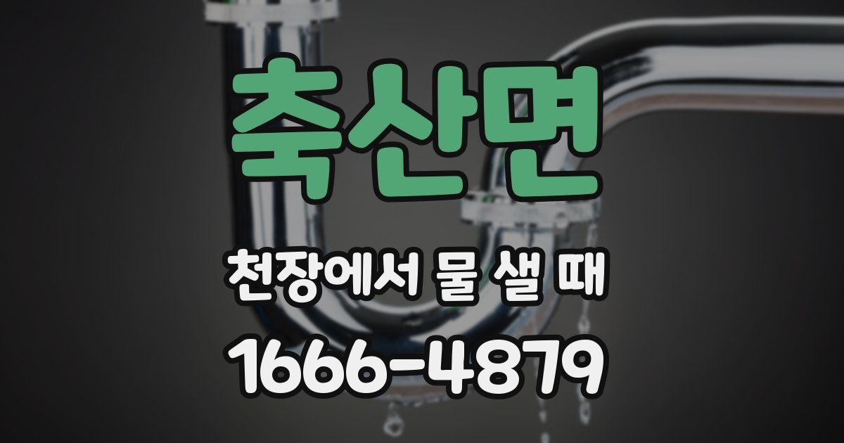 축산면 천장에서 물 샐 때