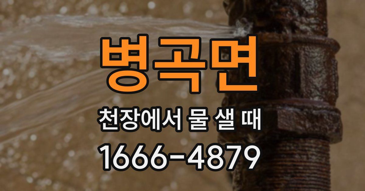 병곡면 천장에서 물 샐 때