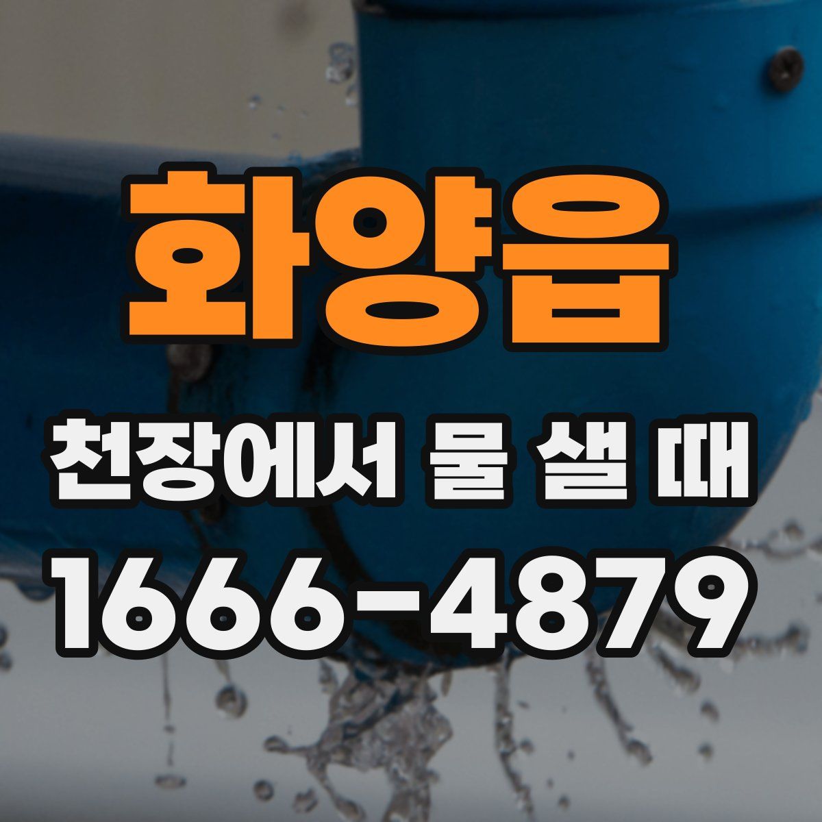 화양읍 천장에서 물 샐 때