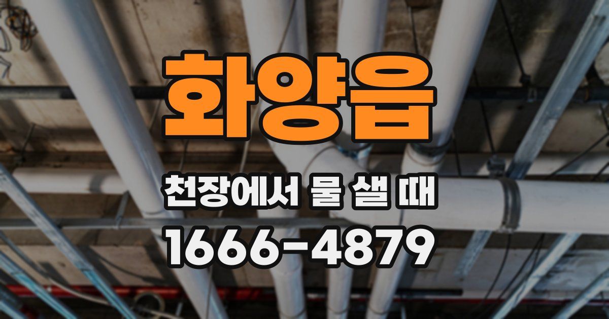화양읍 천장에서 물 샐 때
