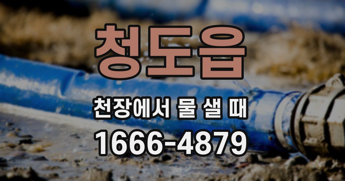청도읍 천장에서 물 샐 때