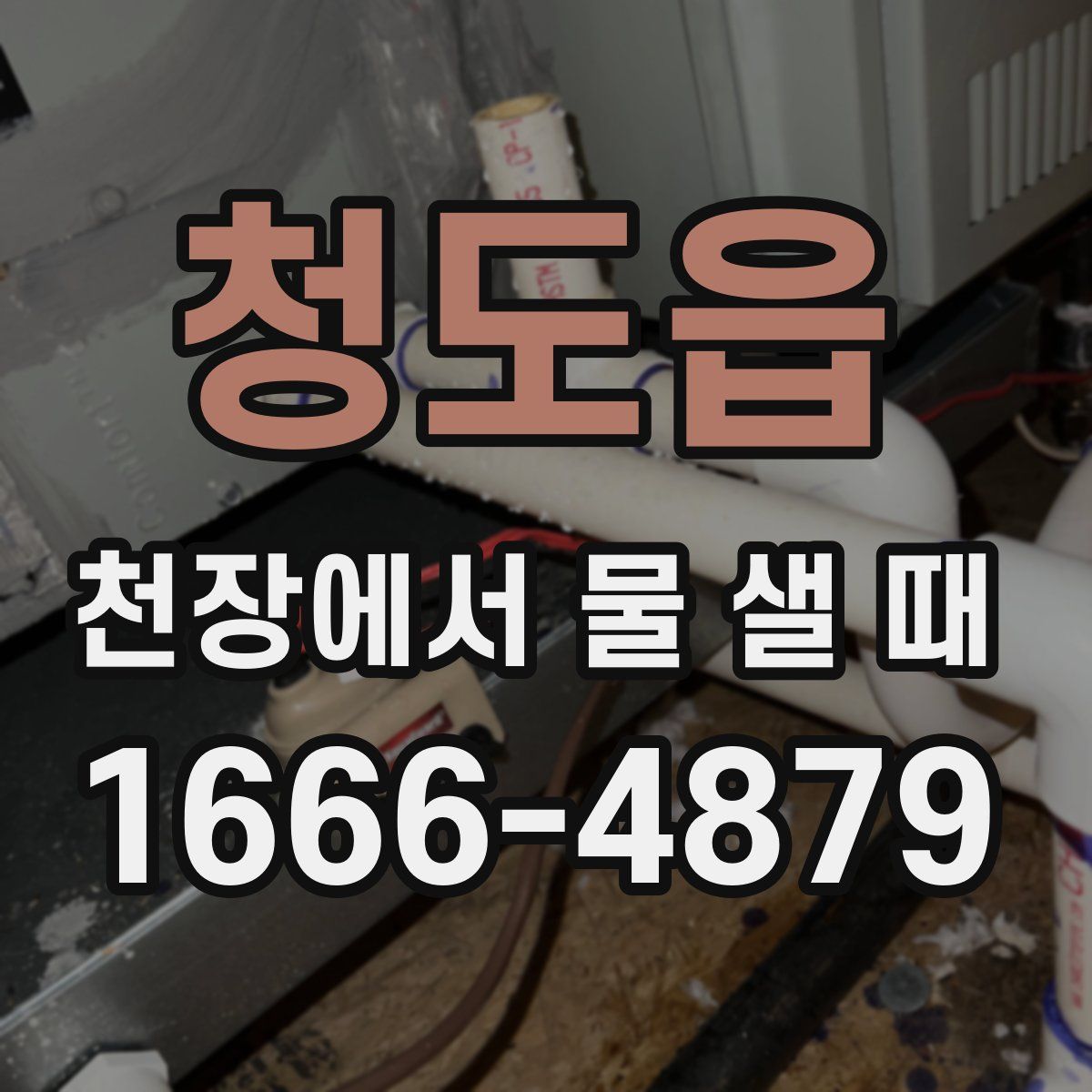 청도읍 천장에서 물 샐 때