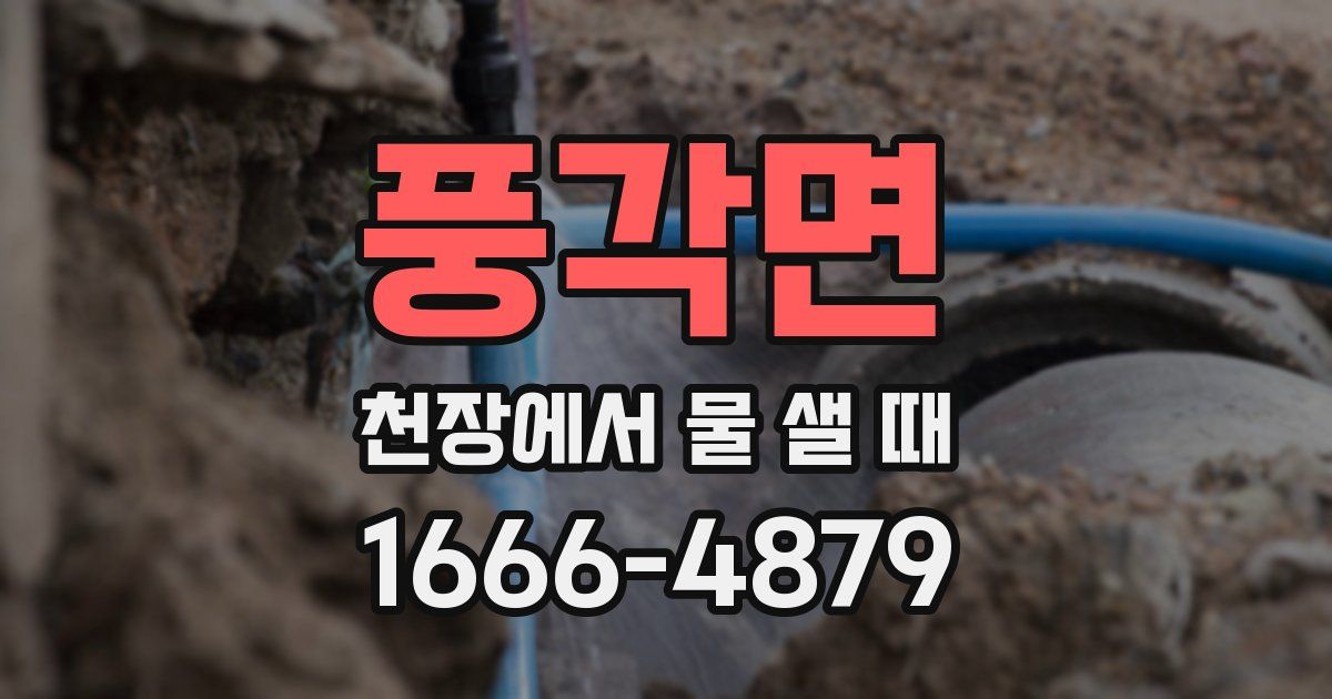 풍각면 천장에서 물 샐 때