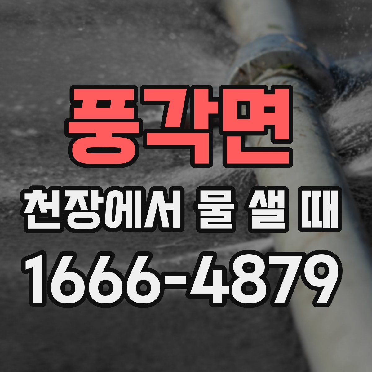 풍각면 천장에서 물 샐 때