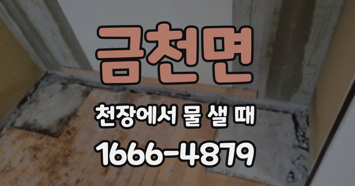 금천면 천장에서 물 샐 때