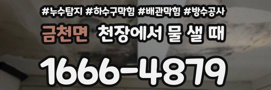 금천면 천장에서 물 샐 때