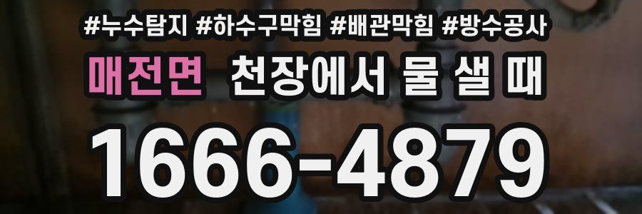 매전면 천장에서 물 샐 때