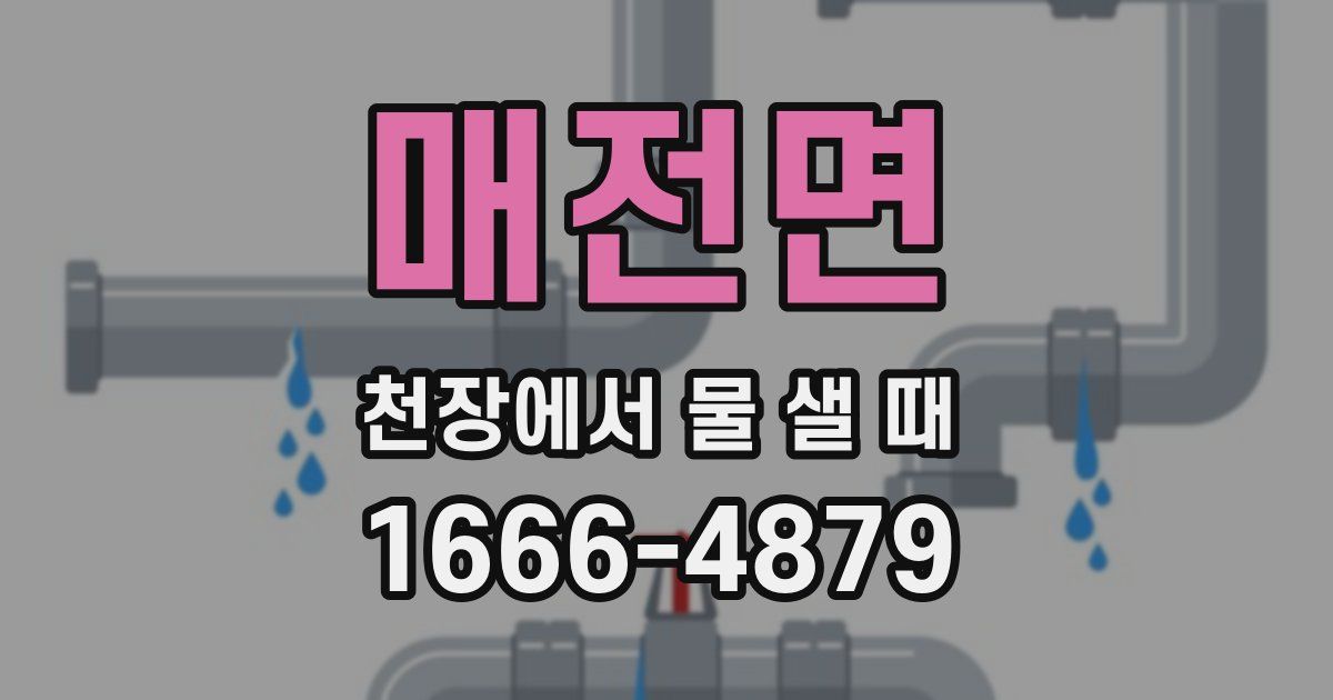매전면 천장에서 물 샐 때