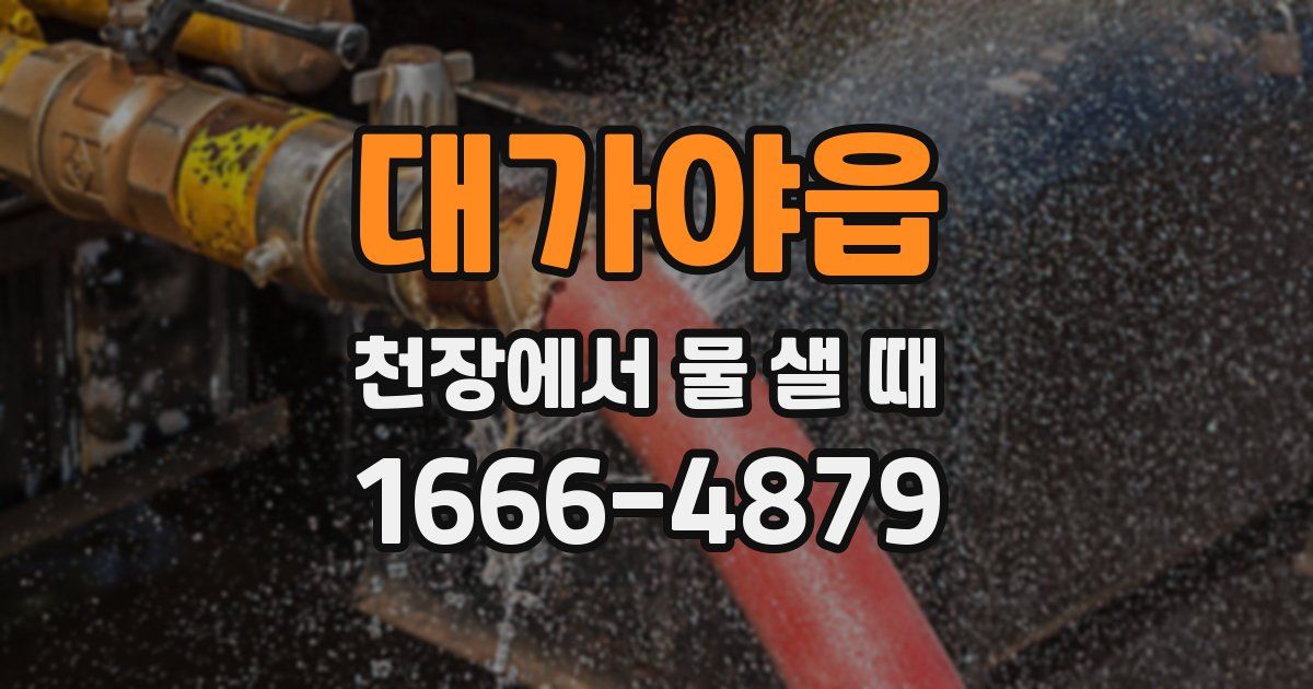 대가야읍 천장에서 물 샐 때