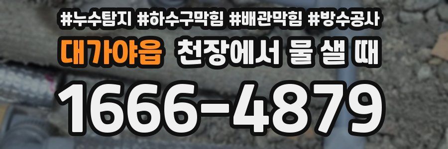 대가야읍 천장에서 물 샐 때