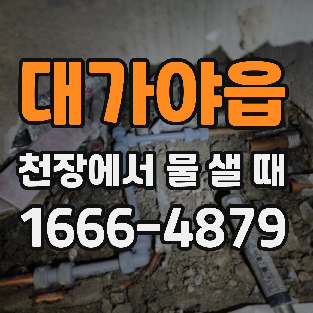 대가야읍 천장에서 물 샐 때